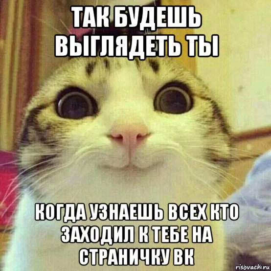 так будешь выглядеть ты когда узнаешь всех кто заходил к тебе на страничку вк, Мем       Котяка-улыбака