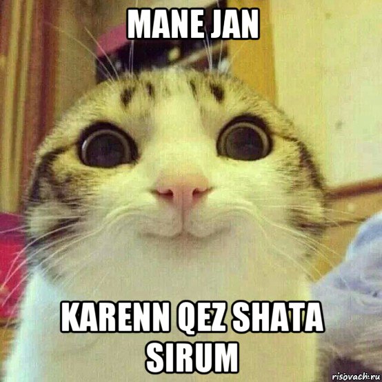 mane jan karenn qez shata sirum, Мем       Котяка-улыбака