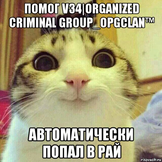 помог v34|organized criminal group_opgclan™ автоматически попал в рай, Мем       Котяка-улыбака