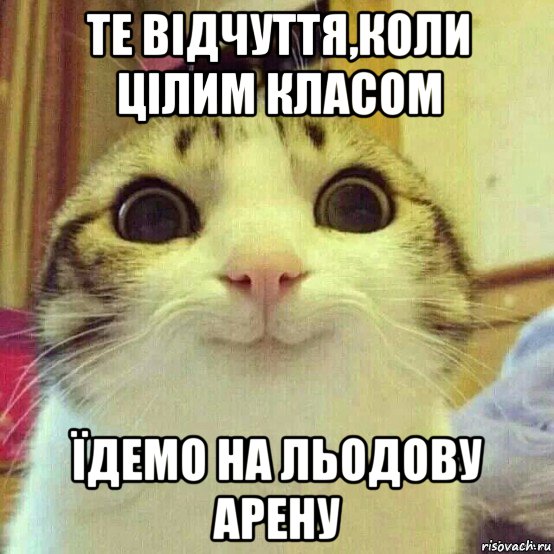 те відчуття,коли цілим класом їдемо на льодову арену, Мем       Котяка-улыбака