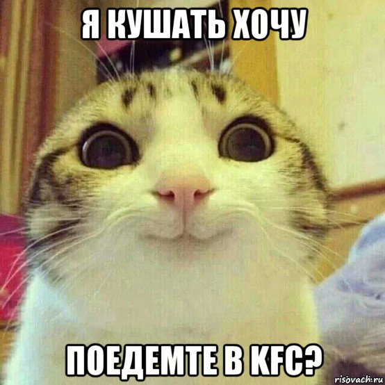 я кушать хочу поедемте в kfc?, Мем       Котяка-улыбака