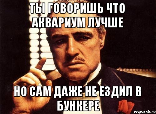 ты говоришь что аквариум лучше но сам даже не ездил в бункере, Мем крестный отец