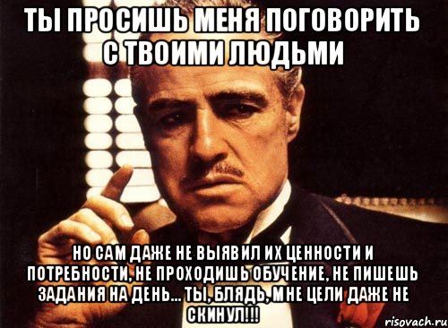 Ты просишь меня поговорить с твоими людьми Но сам даже не выявил их ценности и потребности, не проходишь обучение, не пишешь задания на день... Ты, блядь, мне цели даже не скинул!!!, Мем крестный отец