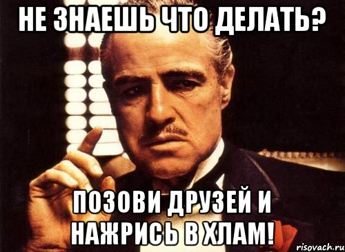 Не знаешь что делать? Позови друзей и нажрись в хлам!, Мем крестный отец