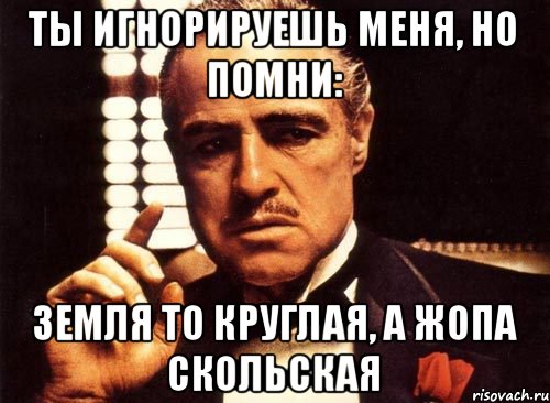 ты игнорируешь меня, но помни: земля то круглая, а жопа скольская, Мем крестный отец