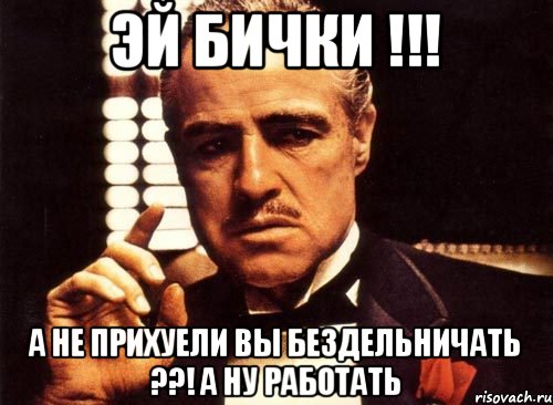 Эй БИЧКИ !!! а НЕ ПРИХУЕЛИ ВЫ БЕЗДЕЛЬНИЧАТЬ ??! А НУ РАБОТАТЬ, Мем крестный отец