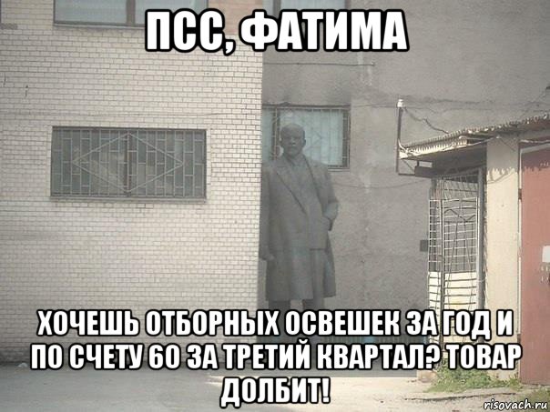 псс, фатима хочешь отборных освешек за год и по счету 60 за третий квартал? товар долбит!, Мем  Ленин за углом (пс, парень)