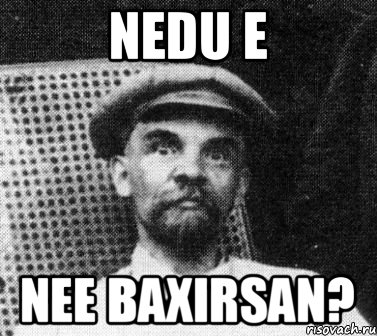 Nedu e Nee baxirsan?, Мем   Ленин удивлен