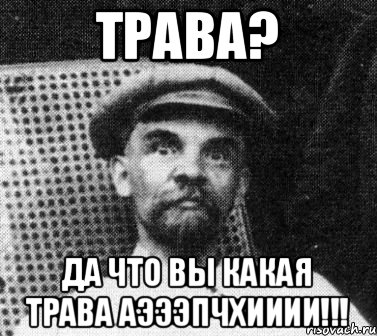 Трава? Да что вы какая трава аэээпчхииии!!!, Мем   Ленин удивлен