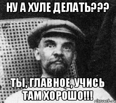 НУ А ХУЛЕ ДЕЛАТЬ??? ТЫ, ГЛАВНОЕ, УЧИСЬ ТАМ ХОРОШО!!!, Мем   Ленин удивлен