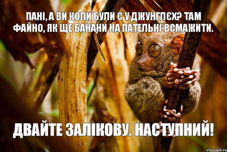 Пані, а ви коли були с у джунглєх? Там файно, як ще банани на пательні всмажити. Двайте залікову. Наступний!