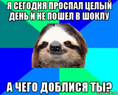 я сегодня проспал целый день и не пошел в шоклу а чего доблися ты?, Мем Ленивец