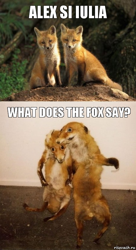 alex si iulia what does the fox say?, Комикс Лисицы