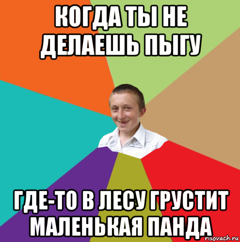 когда ты не делаешь пыгу где-то в лесу грустит маленькая панда, Мем  малый паца