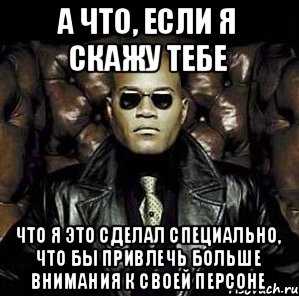 а что, если я скажу тебе что я это сделал специально, что бы привлечь больше внимания к своей персоне