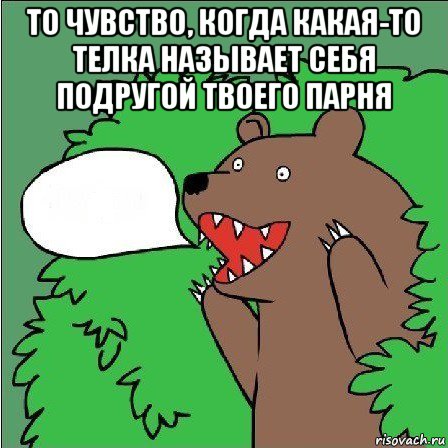 то чувство, когда какая-то телка называет себя подругой твоего парня , Мем Медведь-шлюха