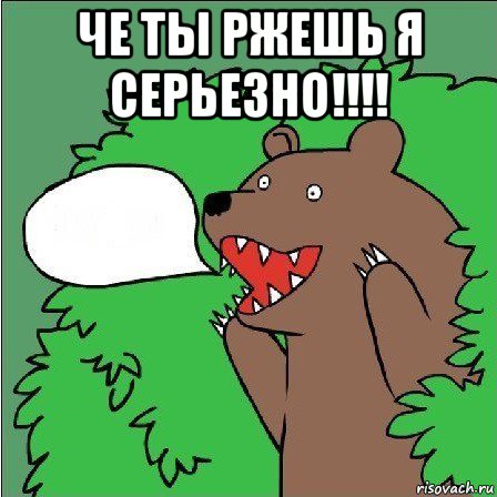 че ты ржешь я серьезно!!!! , Мем Медведь-шлюха