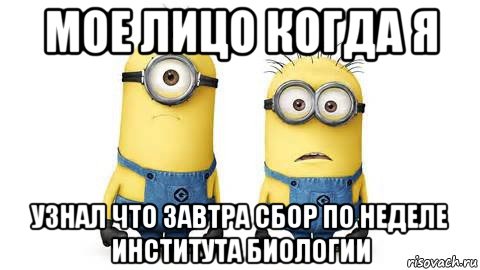 мое лицо когда я узнал что завтра сбор по неделе института биологии, Мем Миньоны