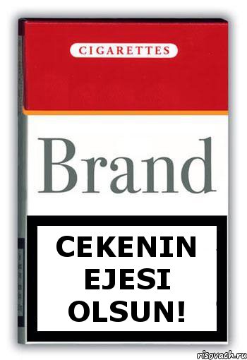 Cekenin ejesi olsun!