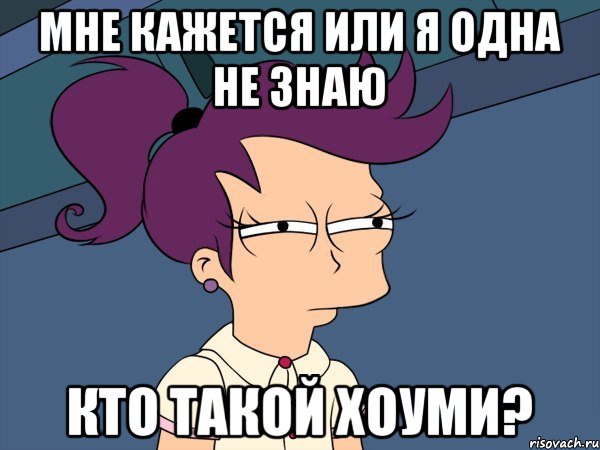 Мне кажется или я одна не знаю КТО ТАКОЙ ХОУМИ?, Мем Мне кажется или (с Лилой)