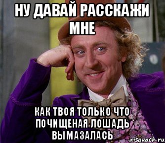 Ну давай расскажи мне Как твоя только что почищеная лошадь вымазалась, Мем мое лицо