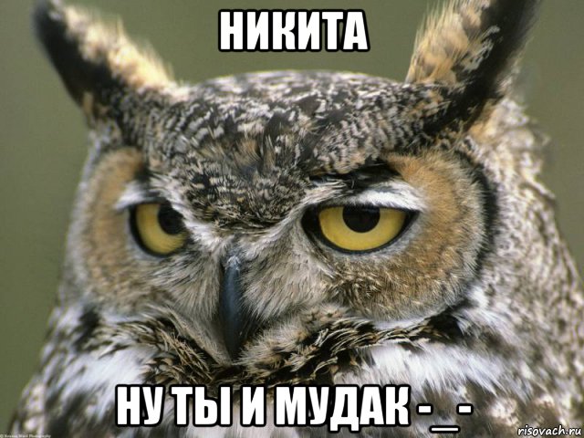 никита ну ты и мудак -_-