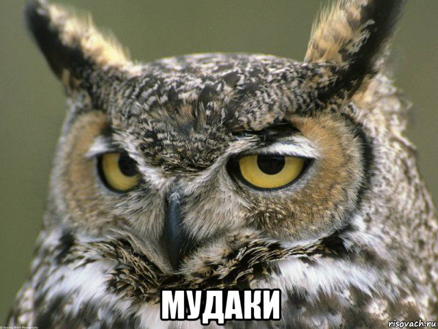  мудаки