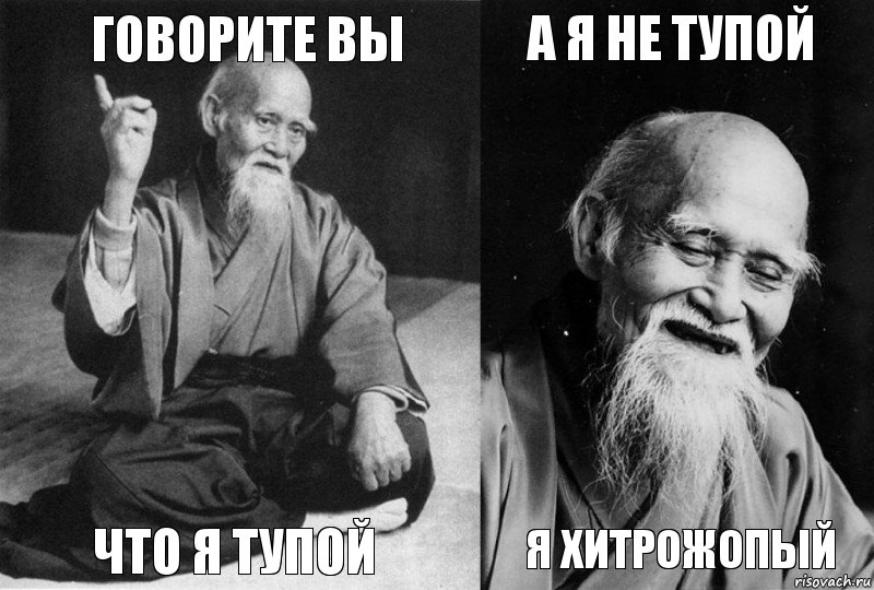 ГОВОРИТЕ ВЫ ЧТО Я ТУПОЙ А Я НЕ ТУПОЙ Я ХИТРОЖОПЫЙ, Комикс Мудрец-монах (4 зоны)