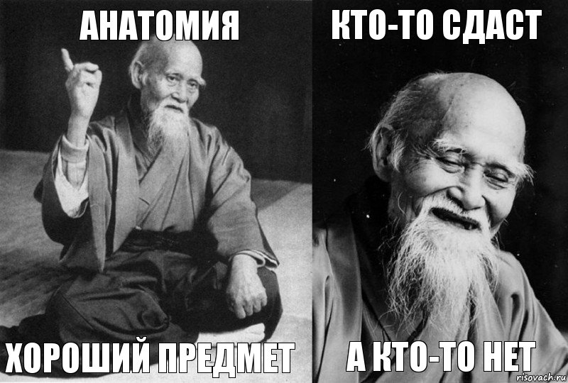 Анатомия Хороший предмет Кто-то сдаст А кто-то нет, Комикс Мудрец-монах (4 зоны)