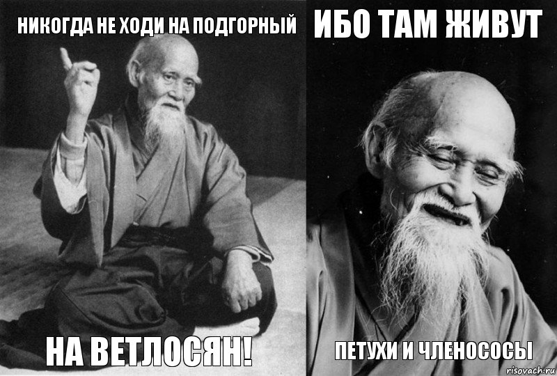 Никогда не ходи на подгорный на ветлосян! Ибо там живут петухи и членососы, Комикс Мудрец-монах (4 зоны)