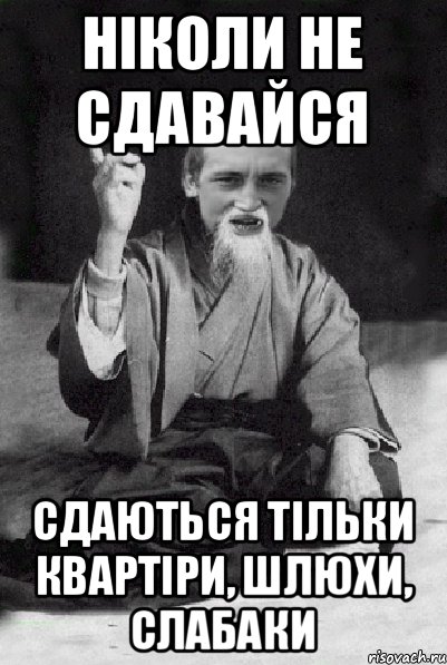 ніколи не сдавайся сдаються тільки квартіри, шлюхи, слабаки, Мем Мудрий паца