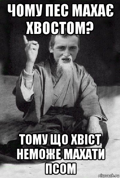 чому пес махає хвостом? тому що хвіст неможе махати псом, Мем Мудрий паца