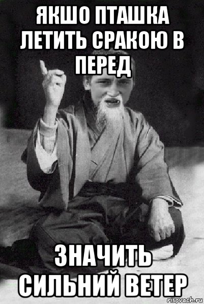 якшо пташка летить сракою в перед значить сильний ветер, Мем Мудрий паца