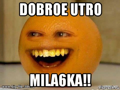 dobroe utro mila6ka!!, Мем Надоедливый апельсин