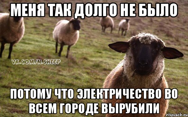 Меня так долго не было потому что электричество во всем городе вырубили, Мем  Наивная Овца