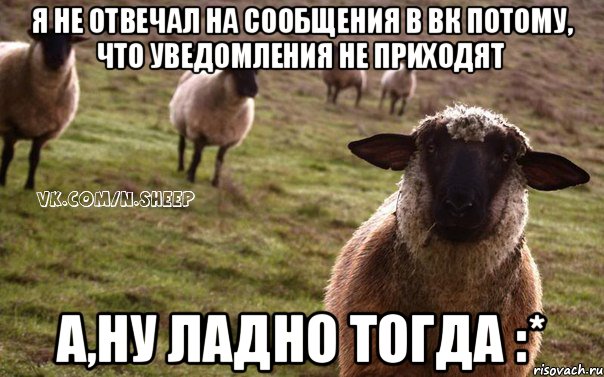 я не отвечал на сообщения в вк потому, что уведомления не приходят а,ну ладно тогда :*, Мем  Наивная Овца