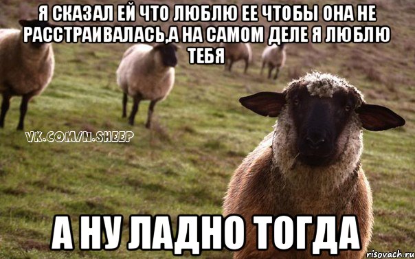 я сказал ей что люблю ее чтобы она не расстраивалась,а на самом деле я люблю тебя а ну ладно тогда, Мем  Наивная Овца