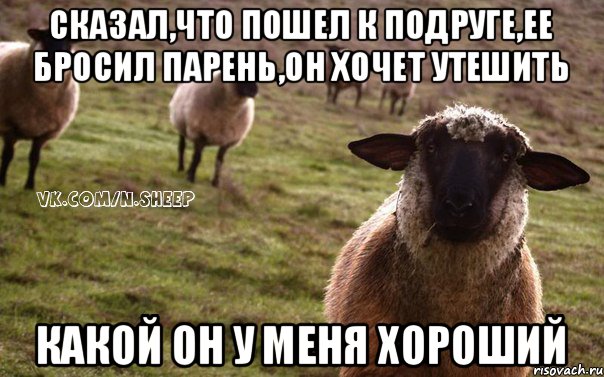 Сказал,что пошел к подруге,ее бросил парень,он хочет утешить Какой он у меня хороший, Мем  Наивная Овца