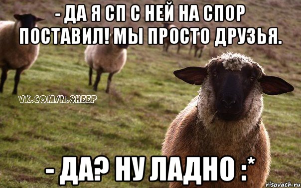 - Да я СП с ней на спор поставил! Мы просто друзья. - Да? Ну ладно :*, Мем  Наивная Овца