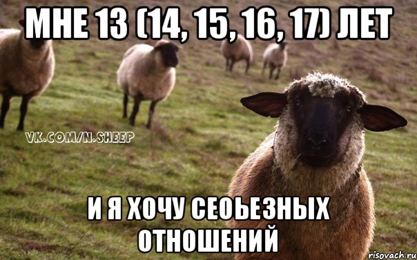 Мне 13 (14, 15, 16, 17) лет И я хочу Сеоьезных отношений, Мем  Наивная Овца