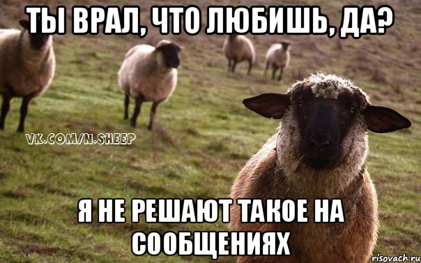 ты врал, что любишь, да? Я НЕ РЕШАЮТ ТАКОЕ НА СООБЩЕНИЯХ, Мем  Наивная Овца