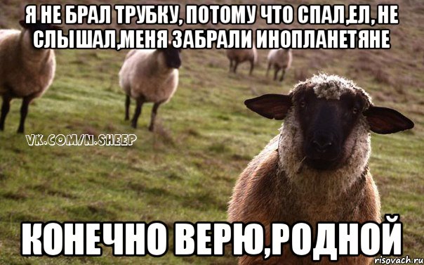 я не брал трубку, потому что спал,ел, не слышал,меня забрали инопланетяне конечно верю,родной, Мем  Наивная Овца