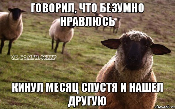 говорил, что безумно нравлюсь кинул месяц спустя и нашел другую, Мем  Наивная Овца