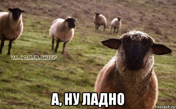  а, ну ладно, Мем  Наивная Овца