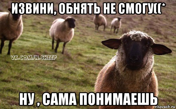 извини, обнять не смогу((* ну , сама понимаешь, Мем  Наивная Овца