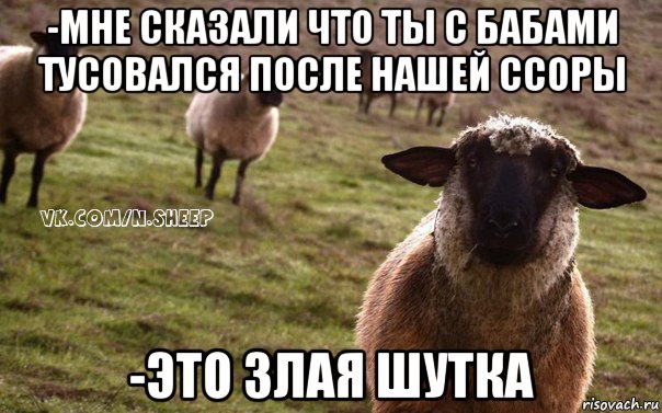 -мне сказали что ты с бабами тусовался после нашей ссоры -это злая шутка, Мем  Наивная Овца