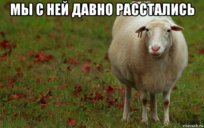 мы с ней давно расстались 