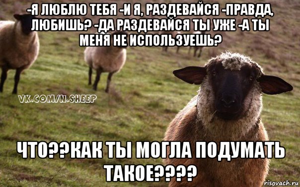 -я люблю тебя -и я, раздевайся -правда, любишь? -да раздевайся ты уже -а ты меня не используешь? что??как ты могла подумать такое????, Мем  Наивная Овца