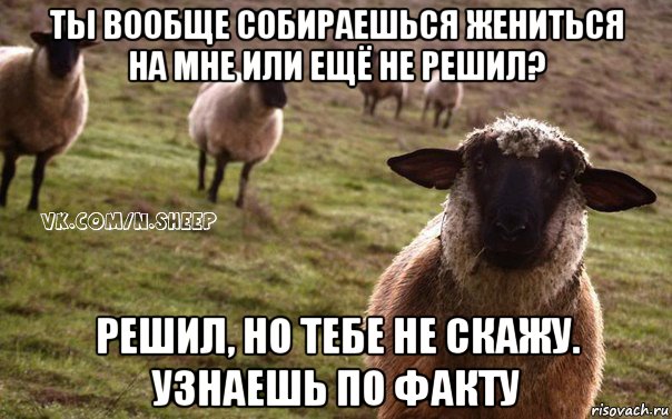 ты вообще собираешься жениться на мне или ещё не решил? решил, но тебе не скажу. узнаешь по факту, Мем  Наивная Овца