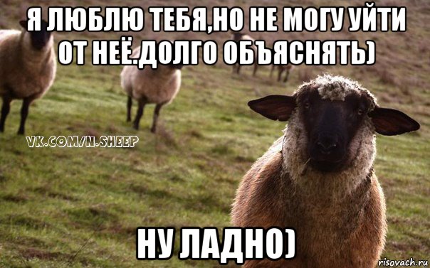 я люблю тебя,но не могу уйти от неё.долго объяснять) ну ладно), Мем  Наивная Овца